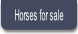 Horses for sale.