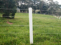 Equine Fencing